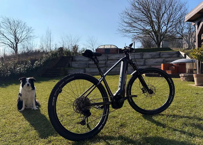 Kegli_fonyod Fonyód